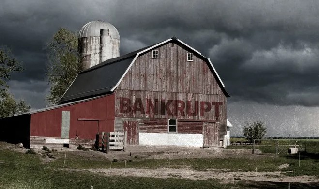 chapter 12 bankruptcy